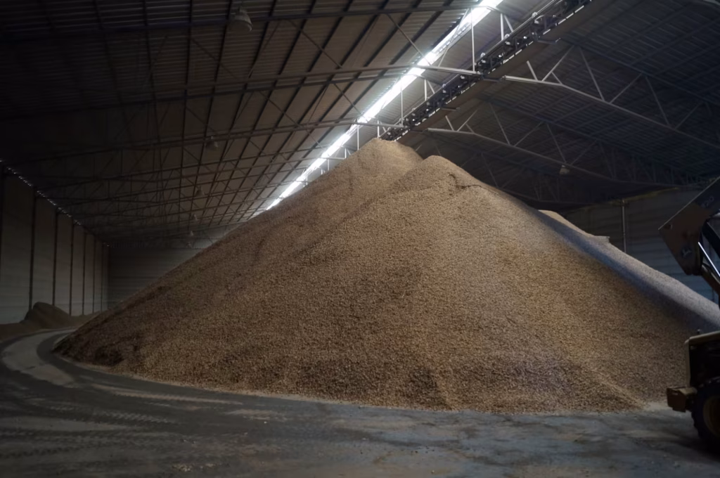 Bodega de 5,000 m² para cacahuate en cáscara con capacidad de 10,000 toneladas